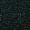 TOHO 11/0 Round Beads X-SEED-TR11-0939-2