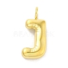 Ion Plating(IP) 304 Stainless Steel Pendants STAS-K263-47G-J-1