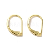 Brass Leverback Earring Findings FIND-Z039-27G-1