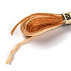 10 Skeins 6-Ply Polyester Embroidery Floss OCOR-K006-A64-2