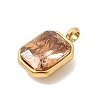304 Stainless Steel with Rhinestone Pendants STAS-Z179-37G-01-2