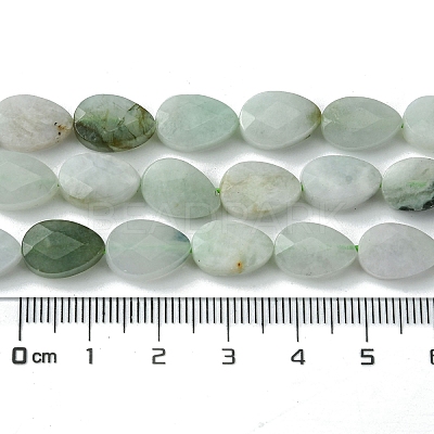 Natural Myanmar Jadeite Beads Strands G-A092-B01-01-1