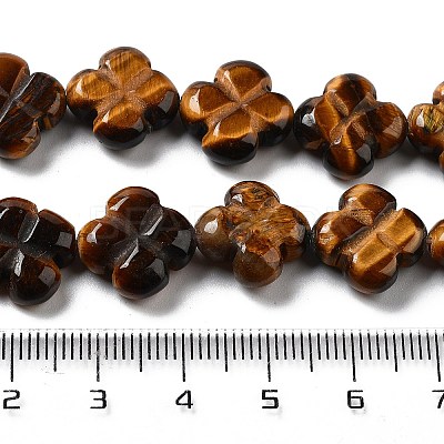 Natural Tiger Eye Beads Strands G-P520-A09-01-1