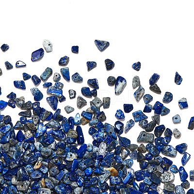 Natural Lapis Lazuli Chip Beads G-CJ0001-25-1