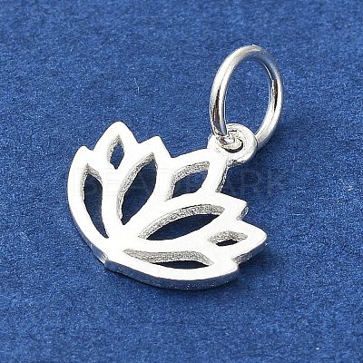 925 Sterling Silver Charms STER-M119-10S-1