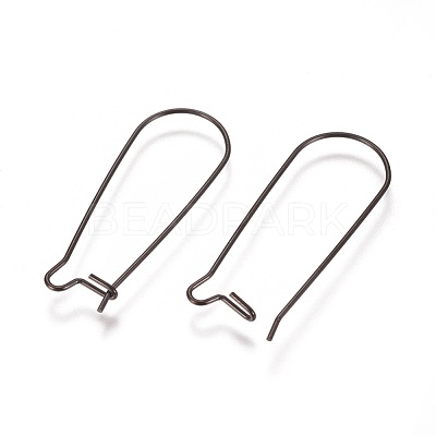 304 Stainless Steel Hoop Earrings Findings Kidney Ear Wires Ion Plating(IP) STAS-L216-22A-B-1