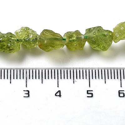 Raw Rough Natural Peridot Beads Strands G-P528-B05-01-1