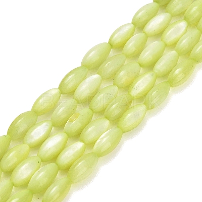 Natural Freshwater Shell Beads Strands X-SHEL-C010-01D-1