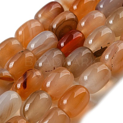Natural Banded Agate/Striped Agate Beads Strands G-A223-D12-01D-1