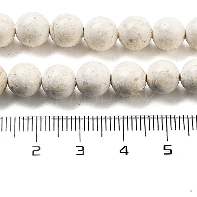 Natural Fossil Beads Strands G-H026-02C-1