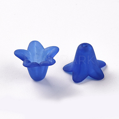 Transparent Acrylic Beads PLF018-10-1