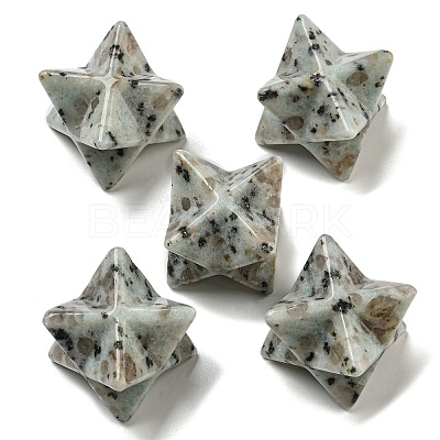 Natural Sesame Jasper/Kiwi Jasper Beads G-A206-01B-62-1
