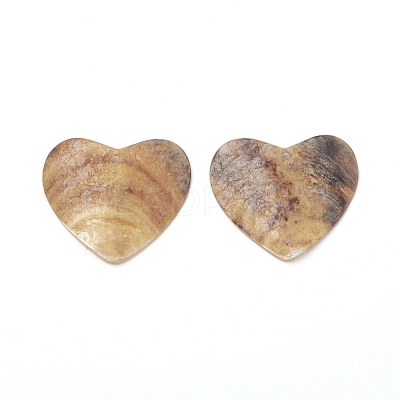 Natural Akoya Shell Pendants BSHE-I011-06-1