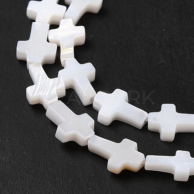 Natural Freshwater Shell Beads Strands BSHE-E026-18-1