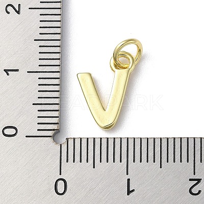 Rack Plating Brass Charms KK-P245-06G-V-1