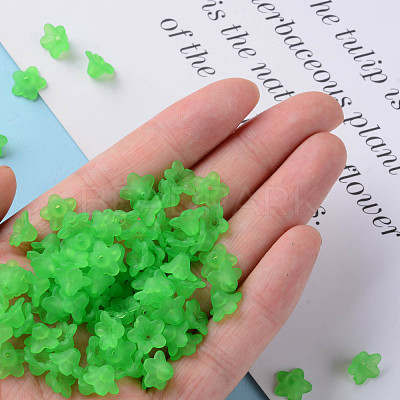 Transparent Acrylic Beads X-PL554-13-1