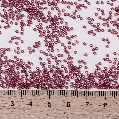 MIYUKI Round Rocailles Beads X-SEED-G009-RR0645-1