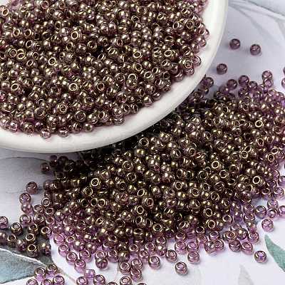 MIYUKI Round Rocailles Beads X-SEED-G008-RR2448-1