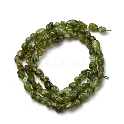Natural Peridot Beads Strands X-G-I389-A27-1
