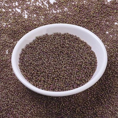 MIYUKI Round Rocailles Beads X-SEED-G007-RR0301-1