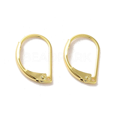 Brass Leverback Earring Findings FIND-Z039-27G-1