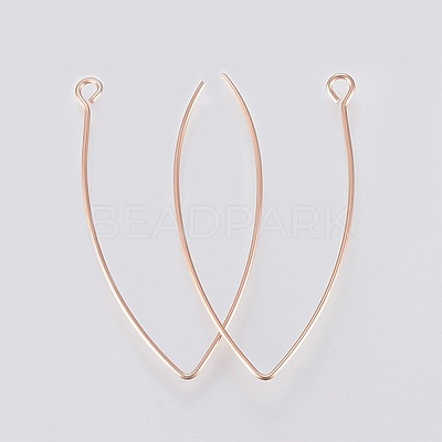 Ion Plating(IP) 304 Stainless Steel Earring Hooks X-STAS-K184-05-01RG-1