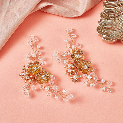 1 Pair Iron Rhinestone Shoe Decorations DIY-NB0007-83-1