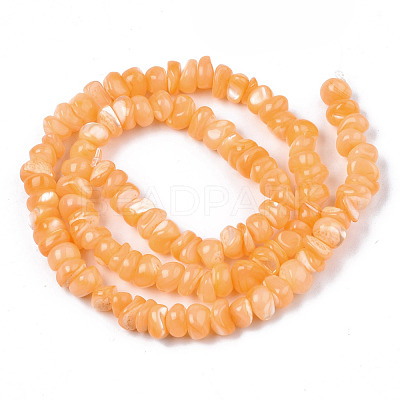 Natural Sea Shell Beads Strands SSHEL-S278-131E-1