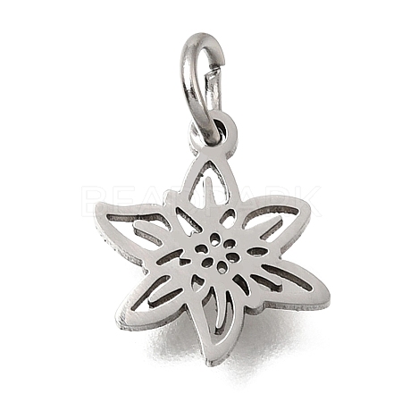 304 Stainless Steel Charms SA-CBA4CE0-01P-K-1