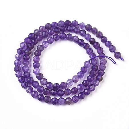 Natural Amethyst Beads Strands LS-G-F619-46C-1