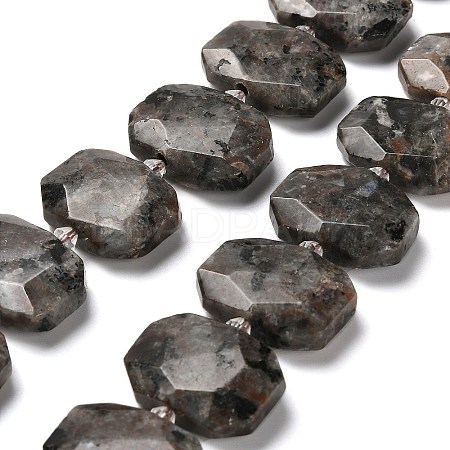 Natural Fluorescent Syenite Rock(Glow under UV Light) Beads Strands G-H078-B11-01-1