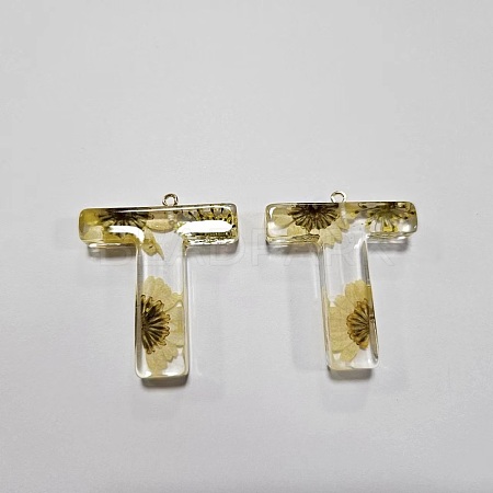 Transparent Epoxy Resin Pendants CRES-YW0002-12T-1