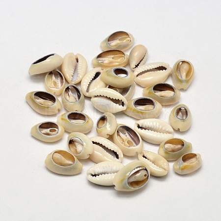 Natural Cowrie Shell Beads BSHE-O007-71-1