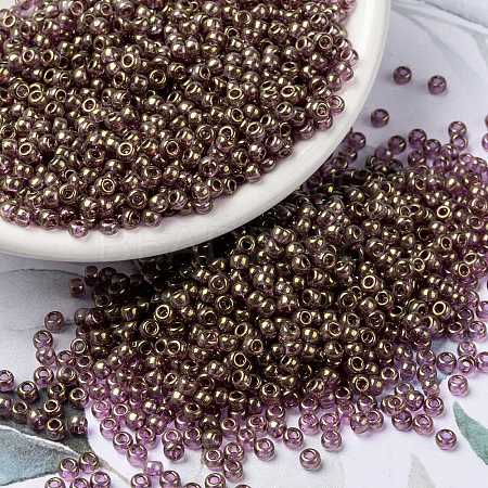 MIYUKI Round Rocailles Beads X-SEED-G008-RR2448-1