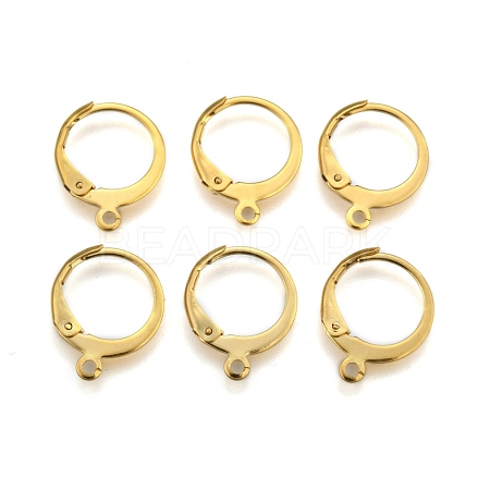 304 Stainless Steel Leverback Earring Findings STAS-P210-30G-1