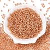 6/0 Transparent Inside Colours Glass Seed Round Beads X1-SEED-N006-004I-2
