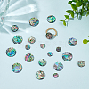 WADORN 20Pcs 4 Styles Natural Abalone Shell/Paua Shell Cabochons SHEL-WR0001-07-4