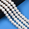 Natural Cultured Freshwater Pearl Beads Strands PEAR-N013-10A-6