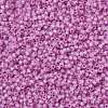 MIYUKI Round Rocailles Beads SEED-G008-RR0644-3