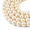 Preciosa® MAXIMA Crystal Nacre Pearls X-PRC-NPA12-77500-4