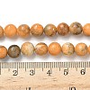 Dyed Natural Dolomite Beads Strands G-D337-8mm-D05-5