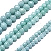 Natural Malaysia Jade Beads Strands G-L645-A01-12mm-25-2