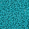 Baking Paint Glass Seed Beads SEED-L011-09A-07-3
