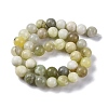 Natural New Jade Beads Strands G-F591-16-10MM-4