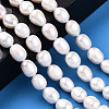 Natural Cultured Freshwater Pearl Beads Strands PEAR-N012-08J-6