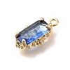 Brass Glass Charms LS-KK-U061-10G-02-2