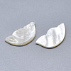 Natural White Shell Mother of Pearl Shell Cabochons SSHEL-S264-061-2