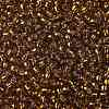 TOHO Round Seed Beads X-SEED-TR08-2156S-2