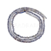 Natural Iolite Beads Strands G-F789-02-4