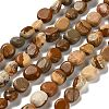 Natural Picture Jasper Beads Strands G-P497-01E-59-1